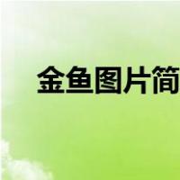 金鱼图片简笔画涂色（金鱼图片简笔画）