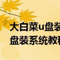 大白菜u盘装系统教程win7能装吗（大白菜u盘装系统教程win7）