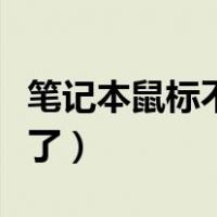 笔记本鼠标不见了怎么恢复（笔记本鼠标不见了）