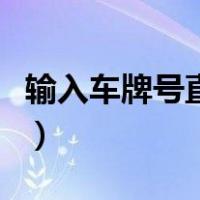 输入车牌号直接查车主（电动车牌照查询系统）
