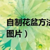 自制花盆方法及图片塑料瓶（自制花盆方法及图片）