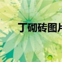 丁砌砖图片（三格式砌砖化粪池图片）