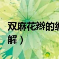 双麻花辫的编法图解大全（双麻花辫的编法图解）