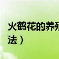 火鹤花的养殖方法剪枝图解（火鹤花的养殖方法）