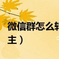 微信群怎么转让群主权限（微信群怎么转让群主）