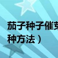 茄子种子催芽方法五种方法（种子催芽方法五种方法）