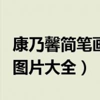 康乃馨简笔画图片大全带颜色（康乃馨简笔画图片大全）