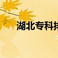 湖北专科排名前十位（湖北专科排名）