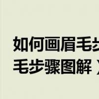 如何画眉毛步骤图解视频教程全集（如何画眉毛步骤图解）