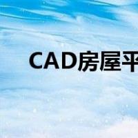 CAD房屋平面图文件（cad房屋平面图）