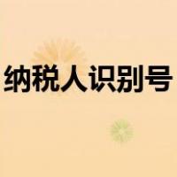 纳税人识别号 查询（纳税人识别号查询系统）