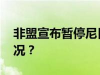 非盟宣布暂停尼日尔成员国资格 这是什么情况？