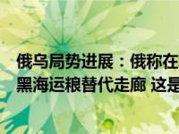 俄乌局势进展：俄称在黑海摧毁一艘乌侦察艇，乌称已建立黑海运粮替代走廊 这是什么情况？