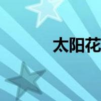 太阳花折纸教案（太阳花折纸）