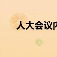 人大会议内容是什么（人大会议内容）