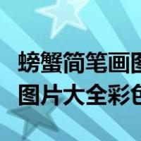螃蟹简笔画图片大全图片大全集（螃蟹简笔画图片大全彩色）