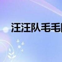 汪汪队毛毛图片 涂色（汪汪队毛毛图片）