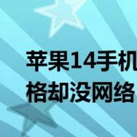 苹果14手机信号满格却没网络（手机信号满格却没网络）