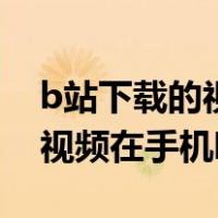 b站下载的视频在手机哪个文件（b站下载的视频在手机哪里）