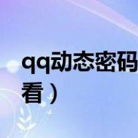 qq动态密码在哪查看（qq的动态密码在哪里看）