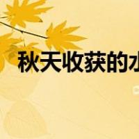 秋天收获的水果有哪些（秋天收获的水果）