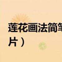 莲花画法简笔画图片一池（莲花画法简笔画图片）