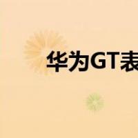 华为GT表盘怎么下载（华为gt表盘）