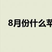 8月份什么苹果最好吃（什么苹果最好吃）