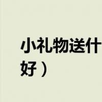 小礼物送什么好 100元以内（小礼物送什么好）