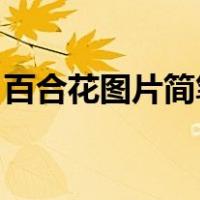 百合花图片简笔画 简单（百合花图片简笔画）