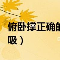 俯卧撑正确的呼吸方法（俯卧撑的正确做法呼吸）