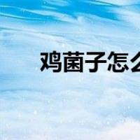 鸡菌子怎么炒来好吃（鸡菌子怎么炒）