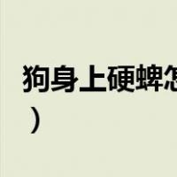狗身上硬蜱怎么去除（狗身上的软蜱怎么去除）