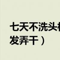 七天不洗头相当于给头发（怎样能1分钟把头发弄干）