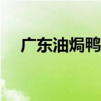 广东油焗鸭的做法（广东油焗鸡的做法）