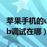 苹果手机的usb调试在哪里设置（苹果手机usb调试在哪）