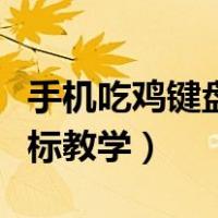 手机吃鸡键盘鼠标教学视频（手机吃鸡键盘鼠标教学）