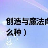 创造与魔法向日葵种子怎么种（向日葵种子怎么种）