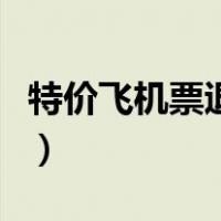 特价飞机票退票能退全款吗（特价飞机票退票）
