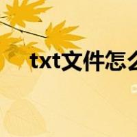 txt文件怎么打开看（txt文件怎么打开）