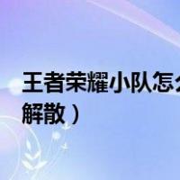 王者荣耀小队怎么解散自己创建的小队（王者荣耀小队怎么解散）