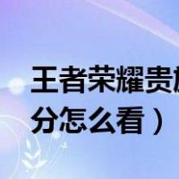 王者荣耀贵族积分怎么看?（王者荣耀贵族积分怎么看）