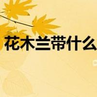 花木兰带什么技能最好（花木兰带什么技能）