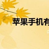 苹果手机有应用锁吗（iphone应用锁）