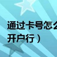 通过卡号怎么查开户行行号（通过卡号怎么查开户行）