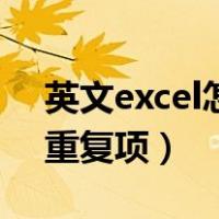 英文excel怎么筛选重复项（excel怎么筛选重复项）