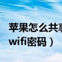 苹果怎么共享wifi密码不弹出（苹果怎么共享wifi密码）