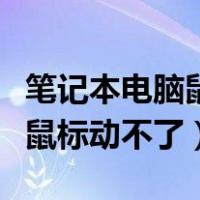 笔记本电脑鼠标动不了怎么回事（笔记本电脑鼠标动不了）