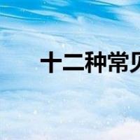 十二种常见咖啡（咖啡的种类和名称）