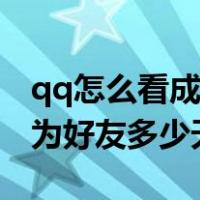 qq怎么看成为好友多少天排行（qq怎么看成为好友多少天）